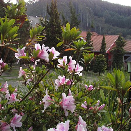 Pousada Flores Da Serra مونتي فيردي المظهر الخارجي الصورة