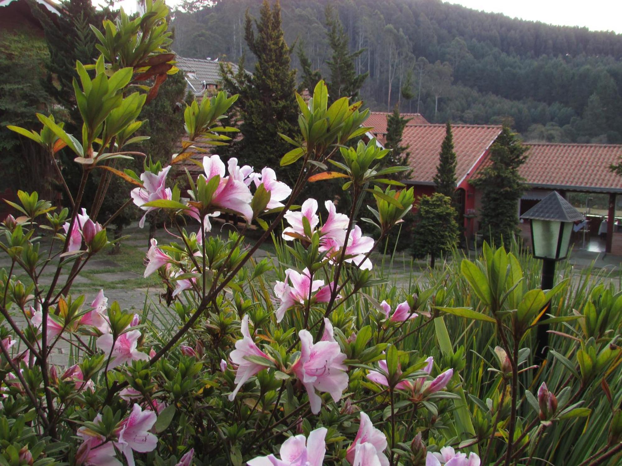 Pousada Flores Da Serra مونتي فيردي المظهر الخارجي الصورة